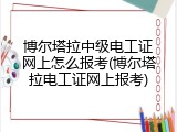 博尔塔拉中级电工证网上怎么报考(博尔塔拉电工证网上报考)