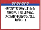 请问西双版纳坪山有高级电工培训吗(西双版纳坪山高级电工培训？)
