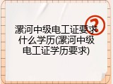 漯河中级电工证要求什么学历(漯河中级电工证学历要求)