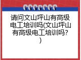 请问文山坪山有高级电工培训吗(文山坪山有高级电工培训吗？)