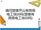 请问楚雄坪山有高级电工培训吗(楚雄有高级电工培训吗)