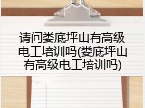 请问娄底坪山有高级电工培训吗(娄底坪山有高级电工培训吗)