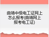 曲靖中级电工证网上怎么报考(曲靖网上报考电工证)