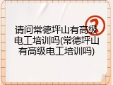 请问常德坪山有高级电工培训吗(常德坪山有高级电工培训吗)