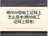 郴州中级电工证网上怎么报考(郴州电工证网上报考)
