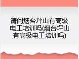 请问烟台坪山有高级电工培训吗(烟台坪山有高级电工培训吗)