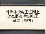 株洲中级电工证网上怎么报考(株洲电工证网上报考)