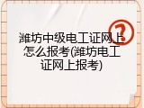 潍坊中级电工证网上怎么报考(潍坊电工证网上报考)
