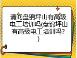 请问盘锦坪山有高级电工培训吗(盘锦坪山有高级电工培训吗？)