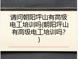 请问朝阳坪山有高级电工培训吗(朝阳坪山有高级电工培训吗？)