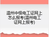 温州中级电工证网上怎么报考(温州电工证网上报考)