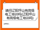 请问辽阳坪山有高级电工培训吗(辽阳坪山有高级电工培训吗)