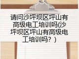 请问沙坪坝区坪山有高级电工培训吗(沙坪坝区坪山有高级电工培训吗？)