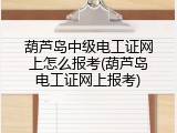 葫芦岛中级电工证网上怎么报考(葫芦岛电工证网上报考)