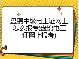 盘锦中级电工证网上怎么报考(盘锦电工证网上报考)