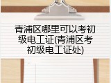青浦区哪里可以考初级电工证(青浦区考初级电工证处)