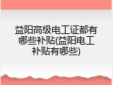 益阳高级电工证都有哪些补贴(益阳电工补贴有哪些)