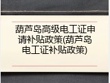 葫芦岛高级电工证申请补贴政策(葫芦岛电工证补贴政策)