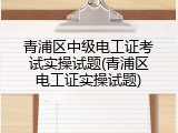 青浦区中级电工证考试实操试题(青浦区电工证实操试题)