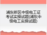 浦东新区中级电工证考试实操试题(浦东中级电工实操试题)