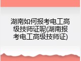 湖南如何报考电工高级技师证呢(湖南报考电工高级技师证)