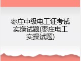 枣庄中级电工证考试实操试题(枣庄电工实操试题)