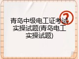 青岛中级电工证考试实操试题(青岛电工实操试题)