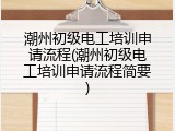 潮州初级电工培训申请流程(潮州初级电工培训申请流程简要)