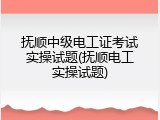 抚顺中级电工证考试实操试题(抚顺电工实操试题)