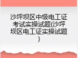 沙坪坝区中级电工证考试实操试题(沙坪坝区电工证实操试题)