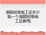 铜陵初级电工证多少钱一个(铜陵初级电工证费用)