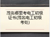 茂名哪里考电工初级证书(茂名电工初级考处)