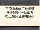 平顶山考电工技师证多少钱啊(平顶山考电工技师证费用多少)