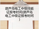 葫芦岛电工中级技能证报考时间(葫芦岛电工中级证报考时间)