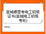 宣城哪里考电工初级证书(宣城电工初级考处)