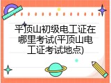 平顶山初级电工证在哪里考试(平顶山电工证考试地点)