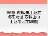 双鸭山初级电工证在哪里考试(双鸭山电工证考试在哪里)