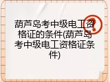 葫芦岛考中级电工资格证的条件(葫芦岛考中级电工资格证条件)