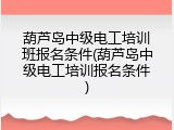 葫芦岛中级电工培训班报名条件(葫芦岛中级电工培训报名条件)