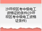 沙坪坝区考中级电工资格证的条件(沙坪坝区考中级电工资格证条件)