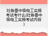 吐鲁番中级电工实操考试考什么(吐鲁番中级电工实操考试内容)