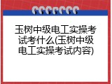 玉树中级电工实操考试考什么(玉树中级电工实操考试内容)