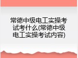 常德中级电工实操考试考什么(常德中级电工实操考试内容)