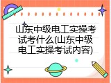 山东中级电工实操考试考什么(山东中级电工实操考试内容)