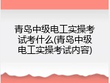 青岛中级电工实操考试考什么(青岛中级电工实操考试内容)