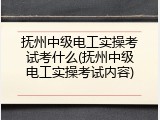 抚州中级电工实操考试考什么(抚州中级电工实操考试内容)