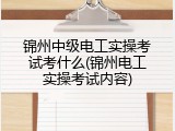 锦州中级电工实操考试考什么(锦州电工实操考试内容)