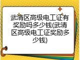 武清区高级电工证有奖励吗多少钱(武清区高级电工证奖励多少钱)