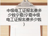 中级电工证报名费多少钱宁夏(宁夏中级电工证报名费多少钱)