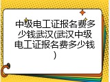 中级电工证报名费多少钱武汉(武汉中级电工证报名费多少钱)